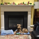 Illustration for article titled Pupdate: A Story in Pictures